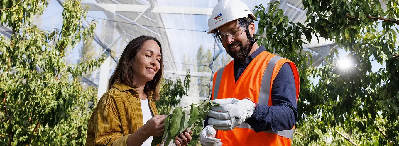 image_processing20260304-8-40c100_1360x500