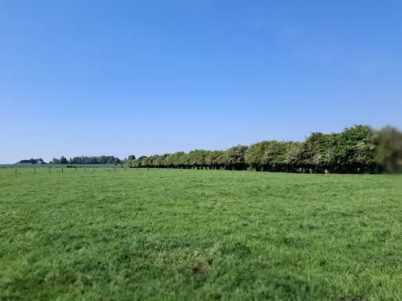Champs projet agrivoltaique croix-en-ternois