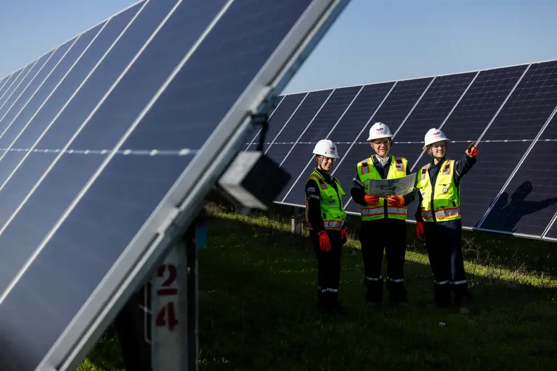 Danish Fields Solar Farm (Texas, USA)