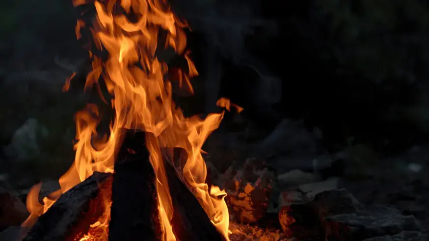 feu de bois