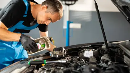Utilizar aceite mineral para motor.