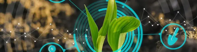 Crop Protection