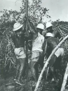 Campagne sismique dans la région de l'île de Mandji en 1953