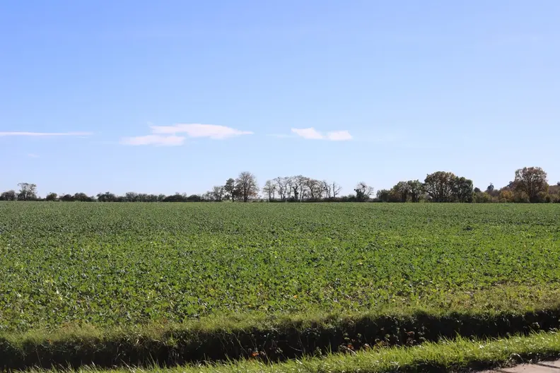 Surface agricole pour le projet agrivoltaïque Chaumoy