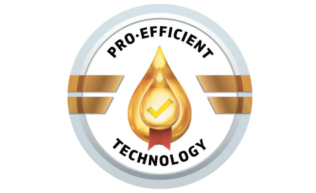 Pro-Efficient