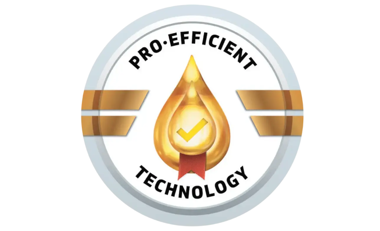 Pro-Efficient