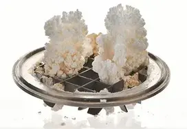 <p>Sans CLEARNOX®</p>
