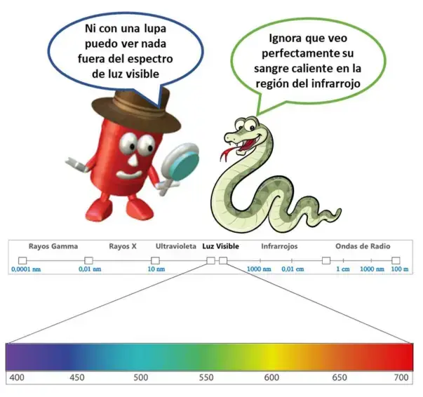 Dibujo de un barril rojo con ojos hablando con una serpiente