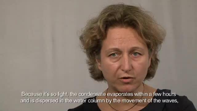 March 30, 2012 - Straight From the Expert - Patricia Mani, Corporate Environment Coordinator, Total (video)