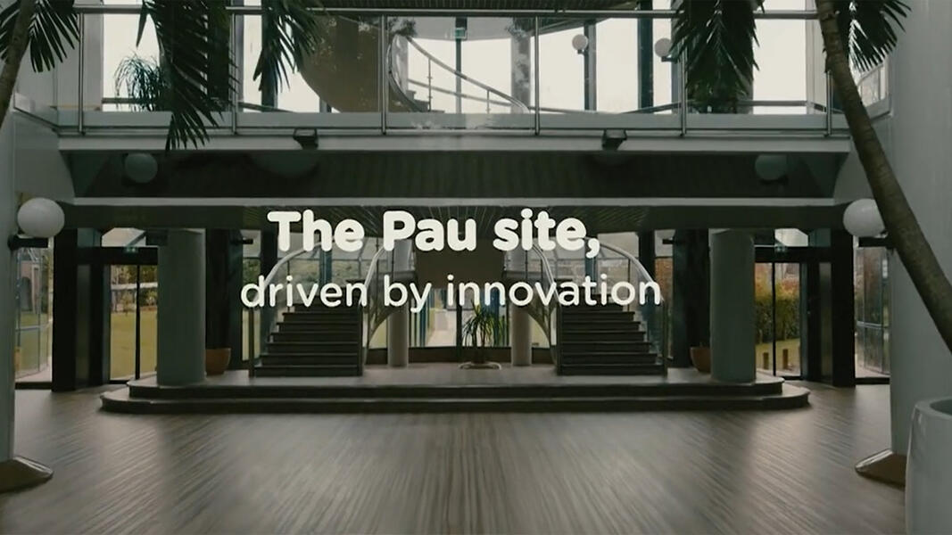 wedia video thumbnail