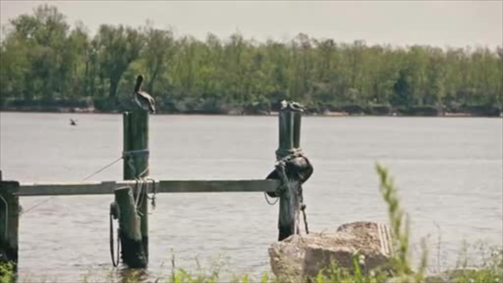 Charting Course for Energy Transition (video)