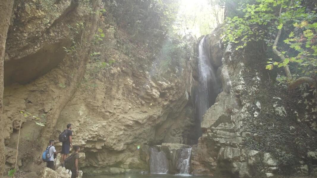 Up to the mountain, specifically towards the natural reserve of Jabal Moussa