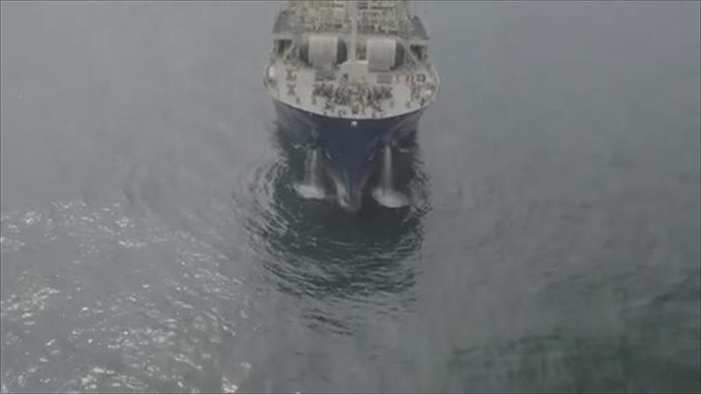 wedia video thumbnail