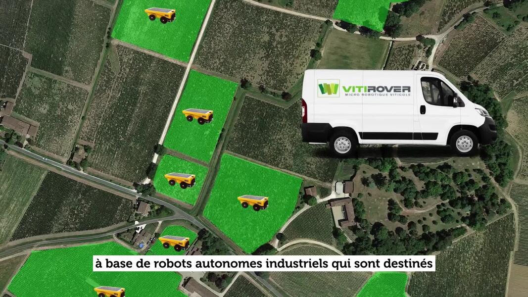 Vitirover, des robots tondeurs à énergie solaire (vidéo)