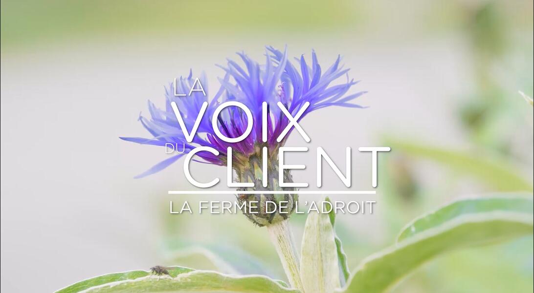 vidéo - la voix du client (vidéo)