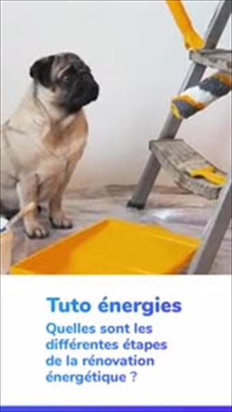 renover logement (vidéo)