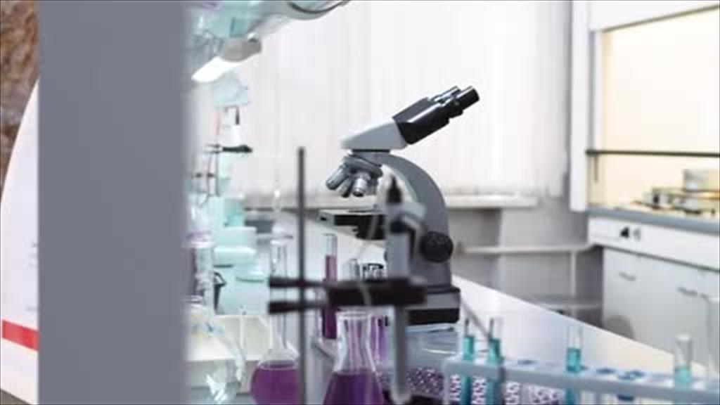 wedia video thumbnail