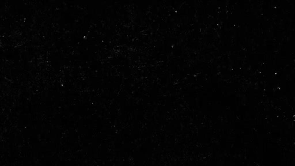 Pioneers for 100 Years (відео)