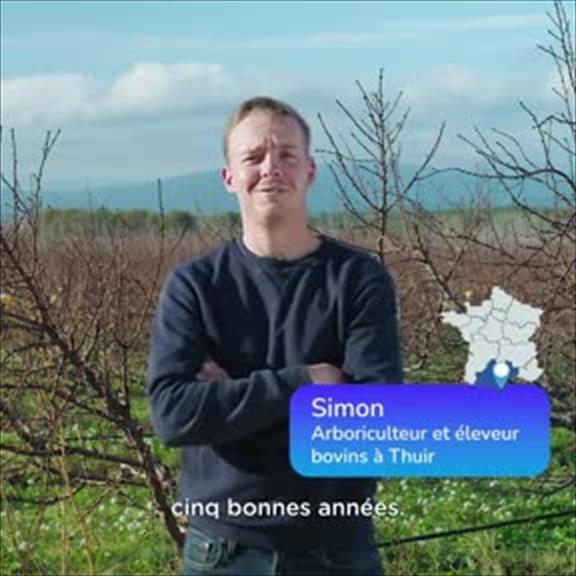 wedia video thumbnail