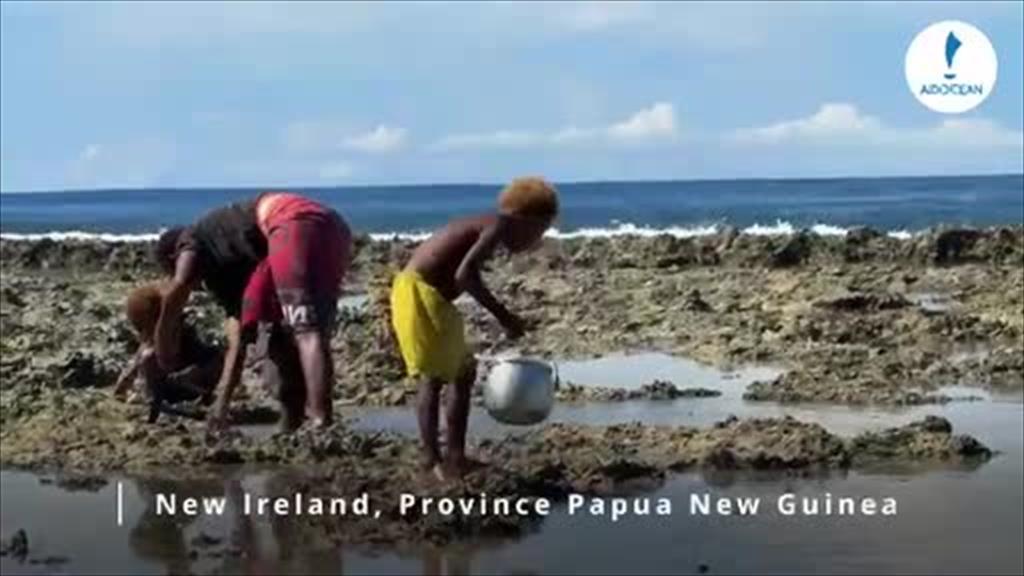 Aidocean New Ireland (Video)