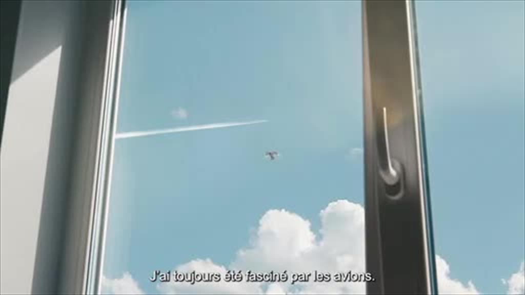 saf description vidéo fr (vidéo)