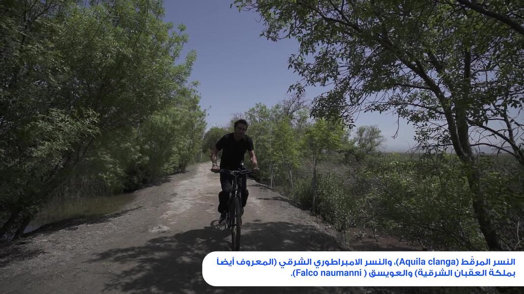 The road to Ammiq, a rich village in the Beqaa