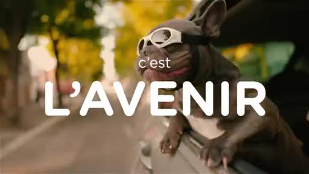 wedia video thumbnail