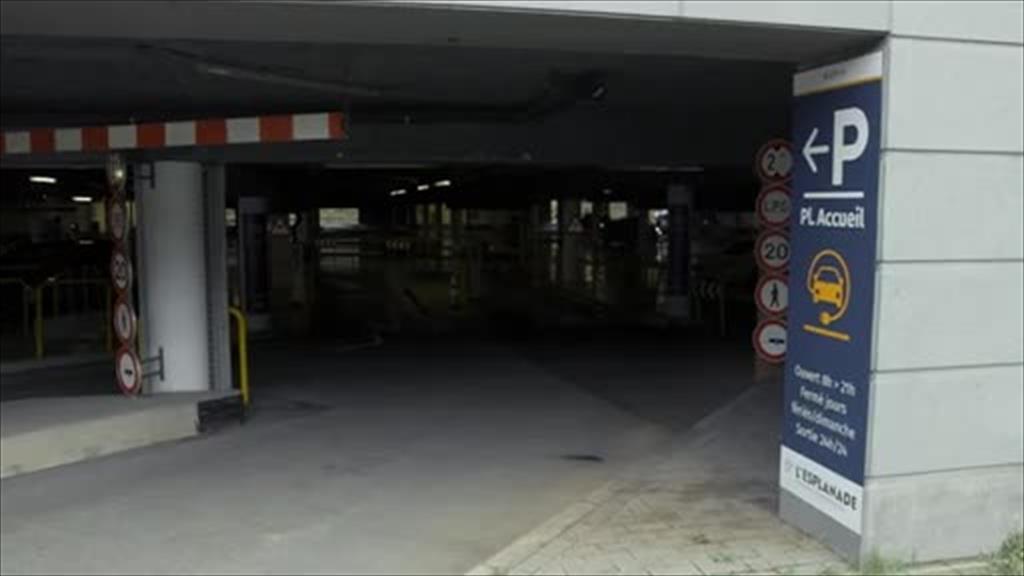 Pierre Henri Laureyssens (video)