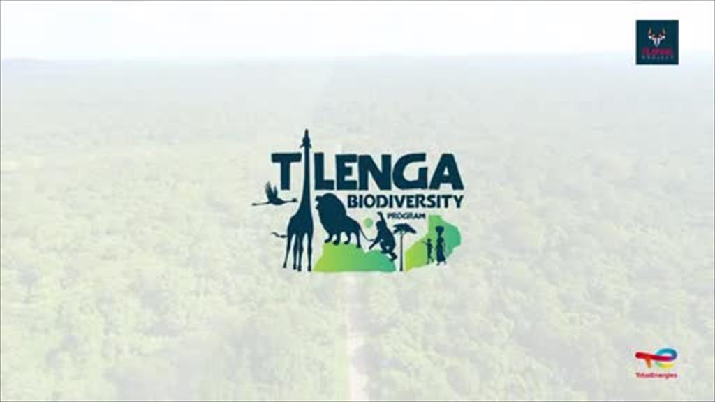 Tilenga Project's Chimpanzee Corridor Restoration Program (video)