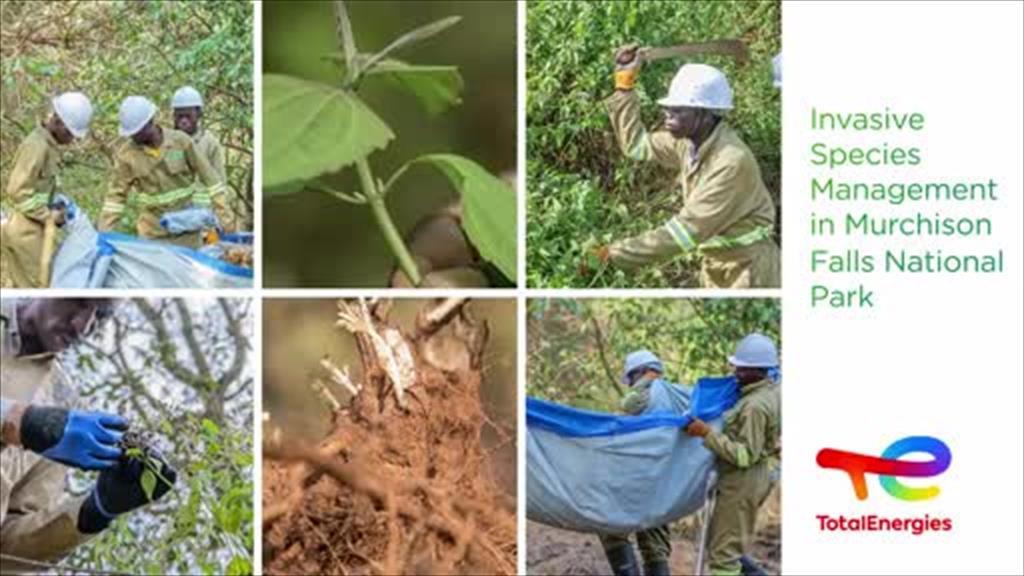 Invasive Species Management in Murchison Falls National Park (video)