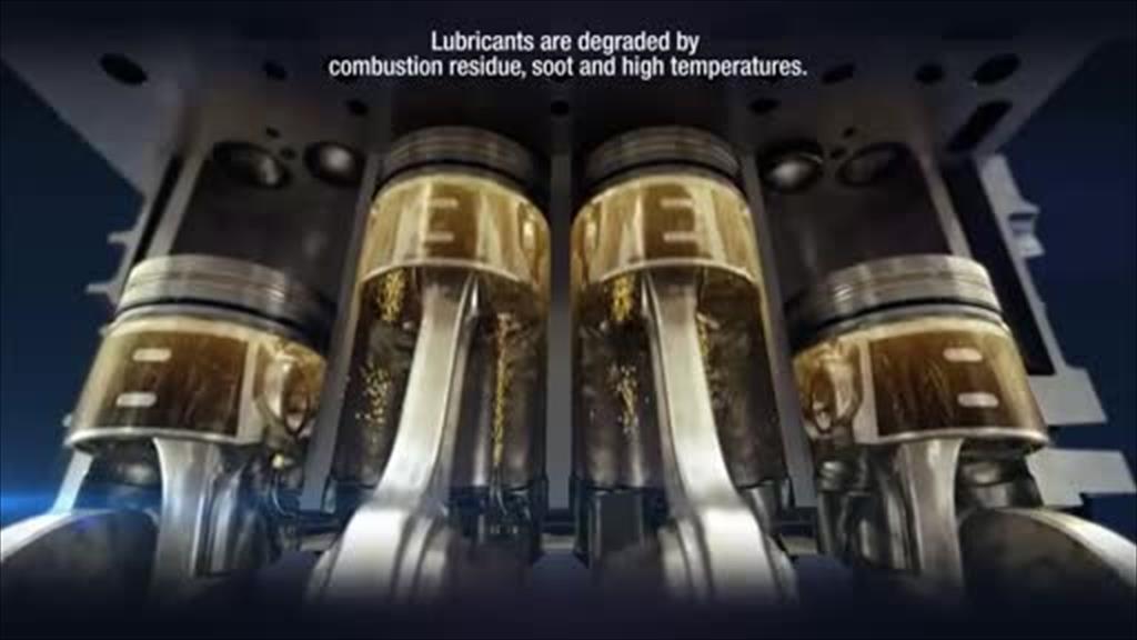 wedia video thumbnail