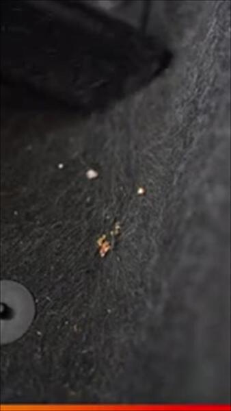 Car vaccuuming (video)