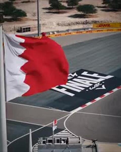 wedia video thumbnail