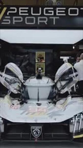 wedia video thumbnail