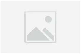 placeholder_homepage crisis sites