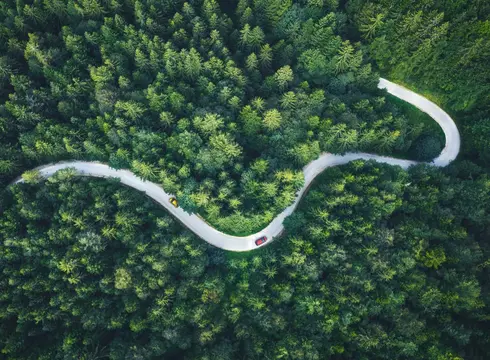 Frontalblick auf eine Serpentinenstraße umgeben von Wald