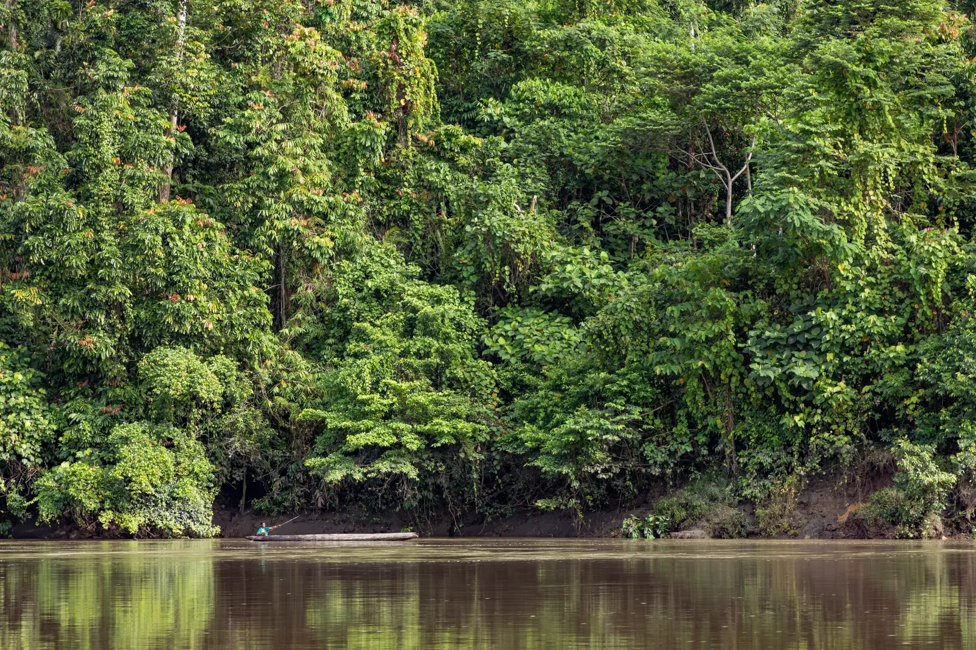 Papua LNG