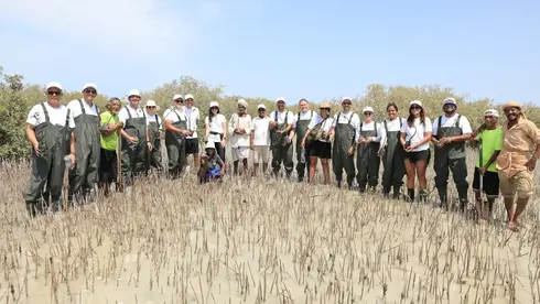 Marsa Allam Mangrove Plantation