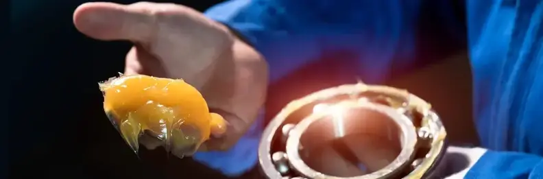 header-vetten-voor-transport