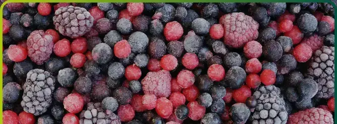 frozen-food