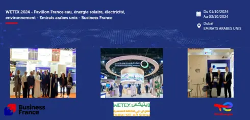 Wetex 24