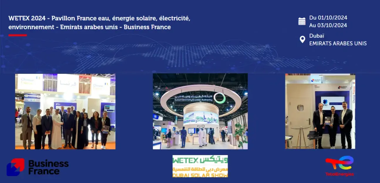 Wetex 24