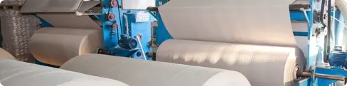 Papel e Celulose