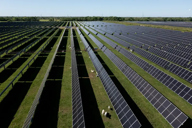 Myrtle Solar Farm (Texas, USA)