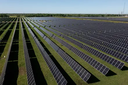 Myrtle Solar Farm (Texas, USA)