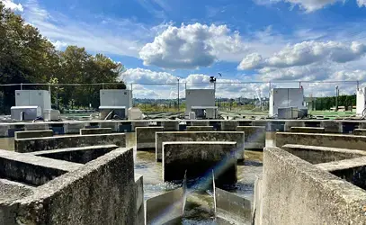 Rivières Pilotes