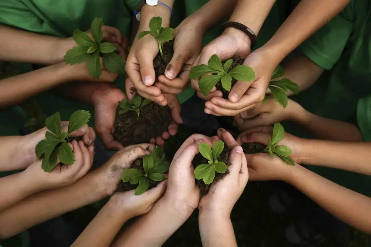 Sustainability