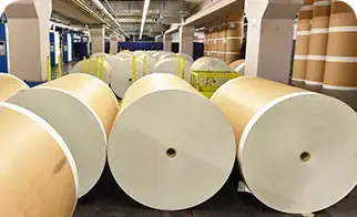 Papel e Celulose
