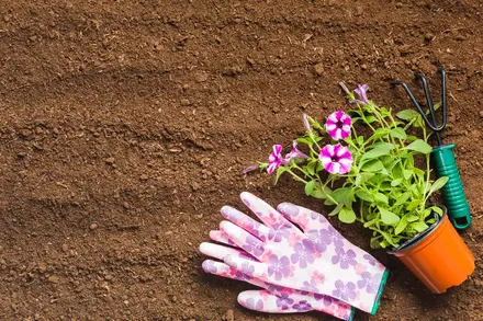 top-view-gardening-tools-ground