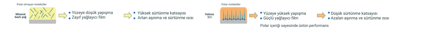 valona bio (1)